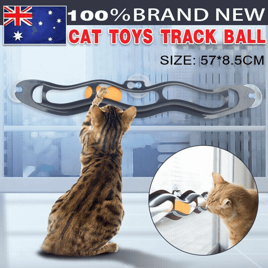 Interactive Cat Track Ball Toy – Window Suction Cup Cat Exercise Toy