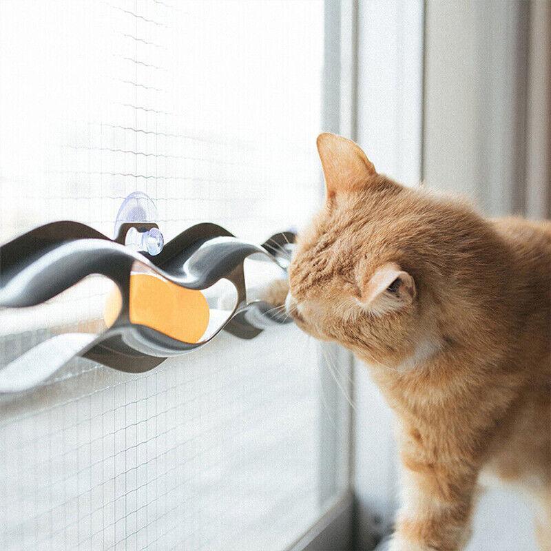 Interactive Cat Track Ball Toy – Window Suction Cup Cat Exercise Toy
