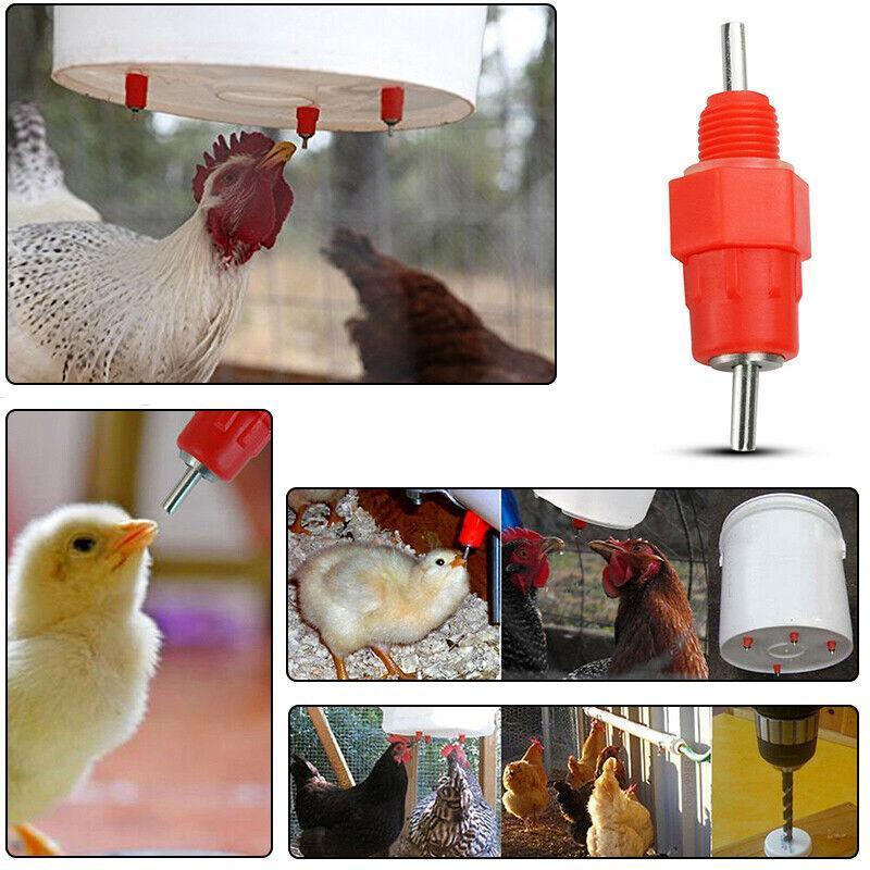 10 PCS Automatic Nipple Water Valves for Poultry & Ducks