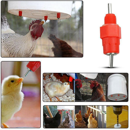 10 PCS Automatic Nipple Water Valves for Poultry & Ducks